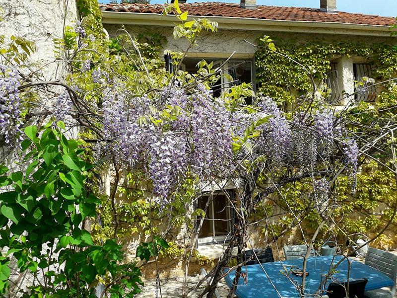 Les Mesanges Bed & Breakfast Sarlat Exterior photo